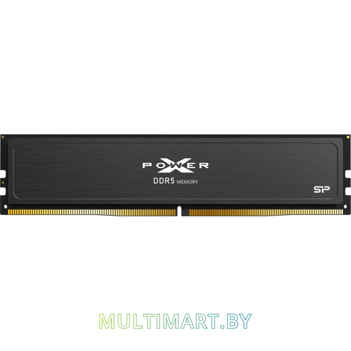 Оперативная память Silicon-Power Xpower Pulse 2x16GB DDR5 PC5-44800 (SP032GXLWU560FDJ)